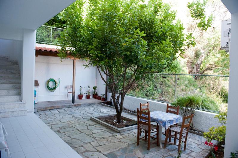 Syraina Apartments Skiathos Chora Extérieur photo